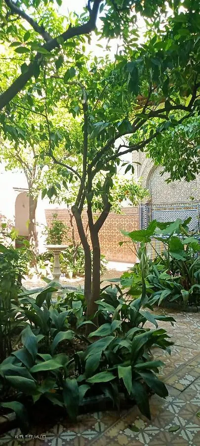 Bed & Breakfast Riad Dar Zaida Marrakesh